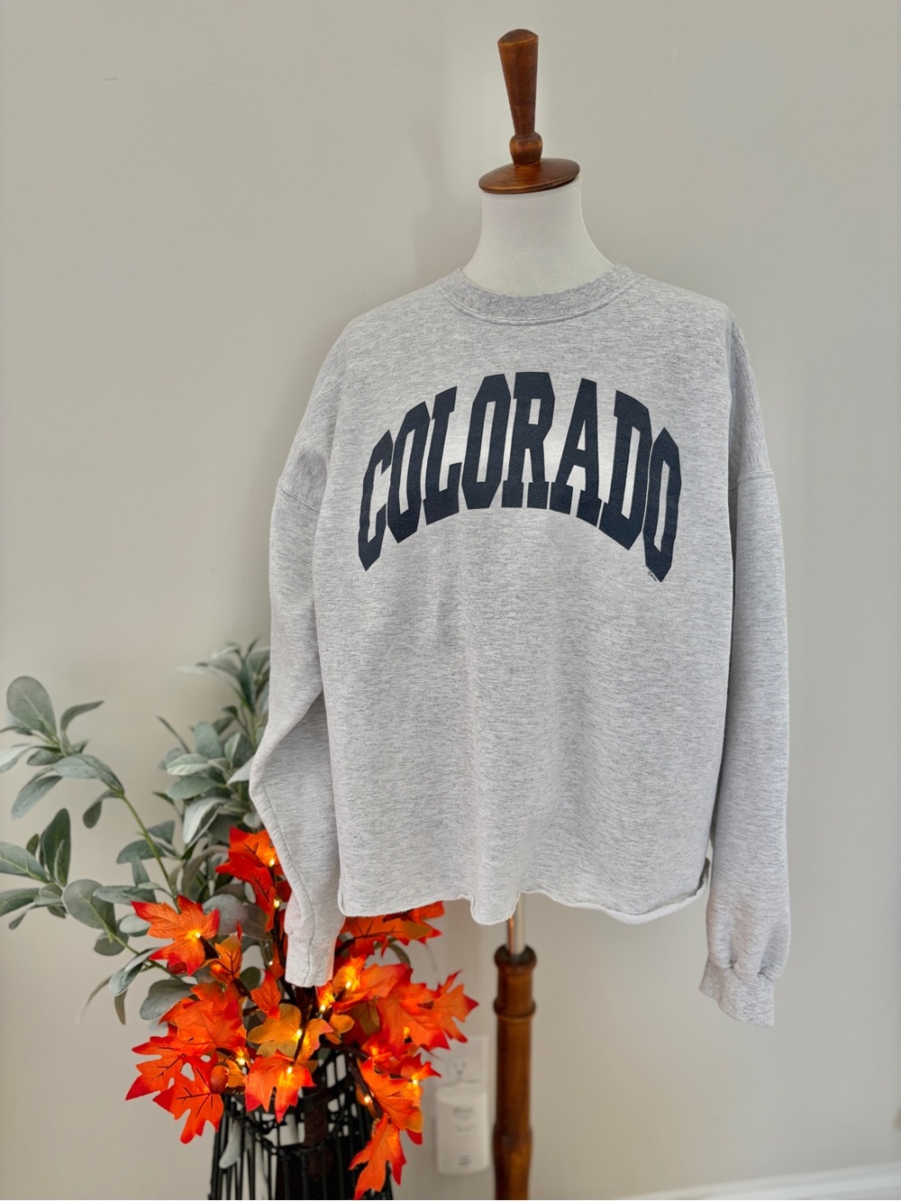 Vintage Colorado Sweatshirt